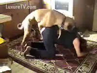 Beast XXX - Woman has jeans with a gap for her dog to fuck her slit